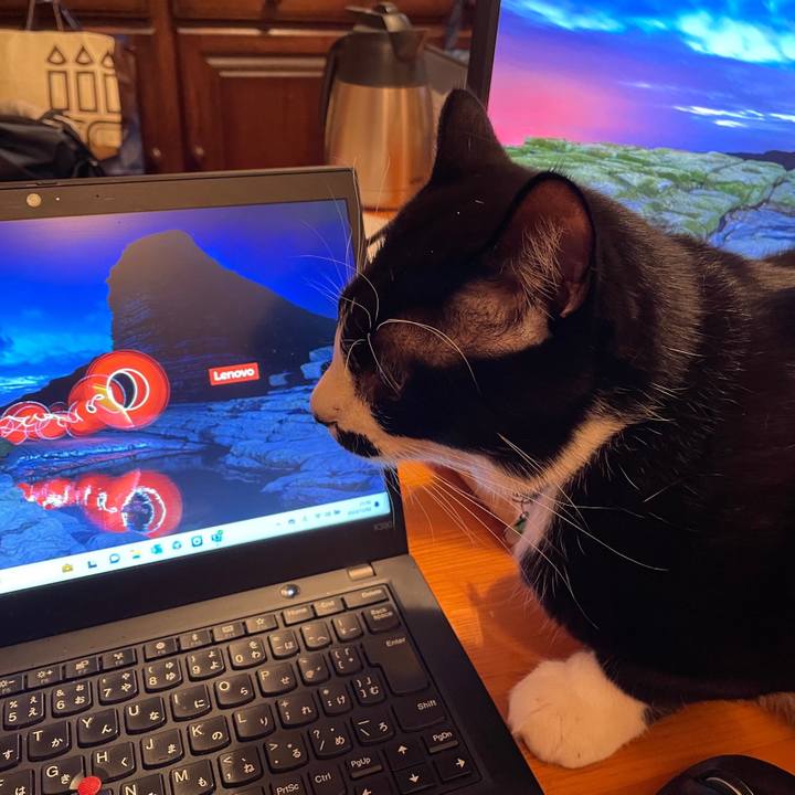 553f76c5 85f7 4949 b83e bd6232b40248 1701521337777