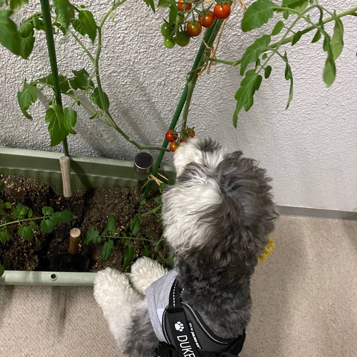 553f7a7d 0a75 483d 8e74 906e82115005 1593356833116