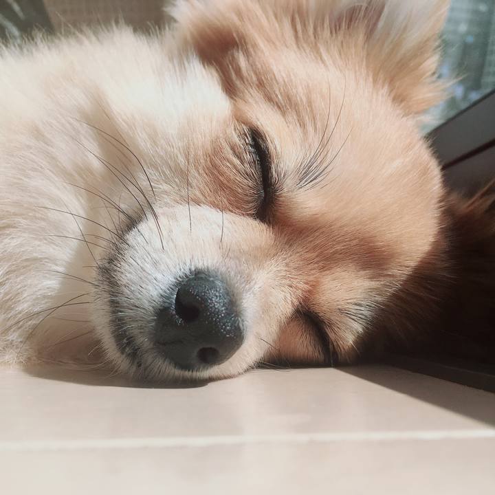 553f7c38 7e54 4abd 9a01 65ce7f841386 1521118759656