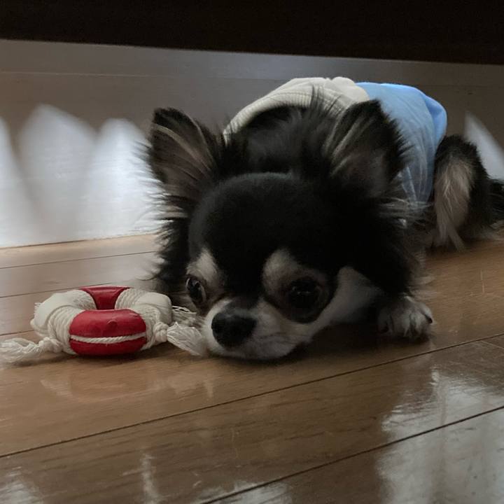 553f8a0f ffe1 4c00 be1e 0f650c536c5a 1651585737875