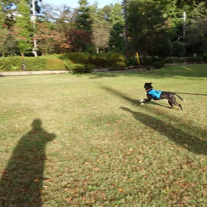 553fbb67 539d 43b9 9377 854a0200d150 1603500059853