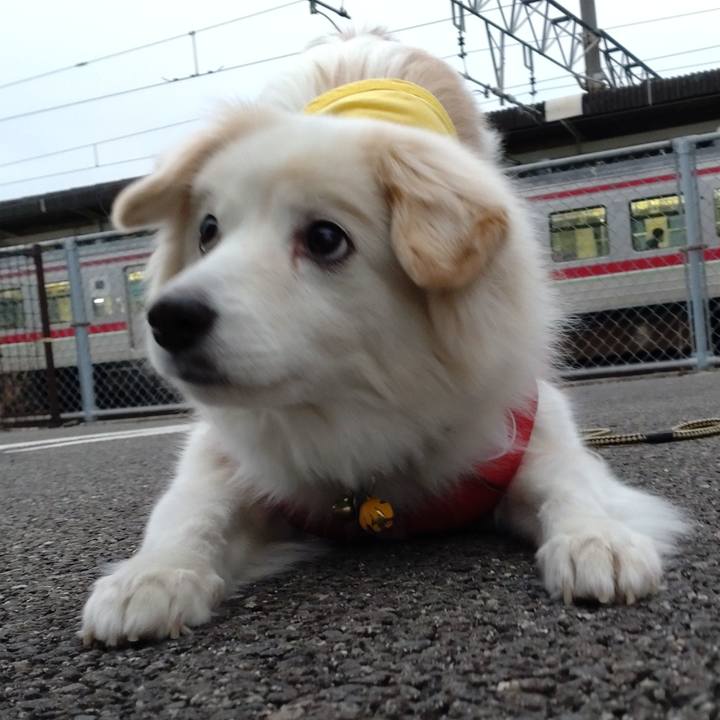 553feebb c33d 48d6 9c73 066fee1c9501 1642891822819