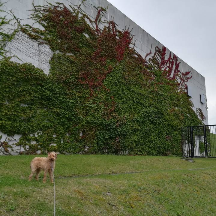 554005dc 65d5 4d42 b4c8 22b8f26e0a34 1536303204290