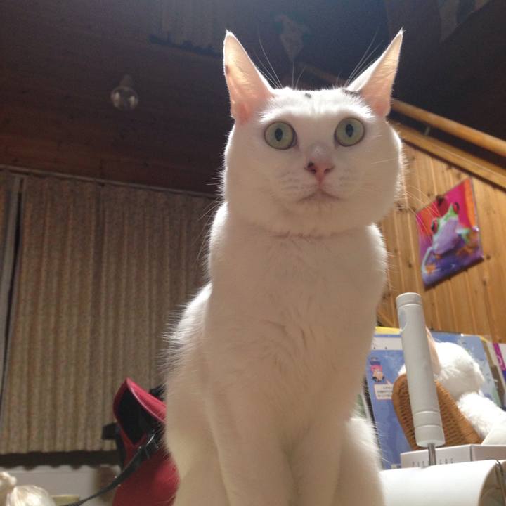 5540101e f05b 4353 8aed e48fa93e2c98 1510402825921