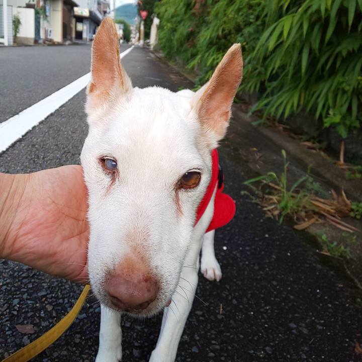 5540134f 08ec 4852 861f 119a00892dd8 1563146773291