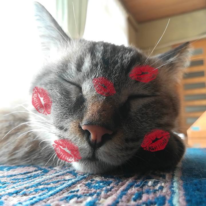 554033ef 6910 4d0c 8d99 3b4af5076b25 1570359469212