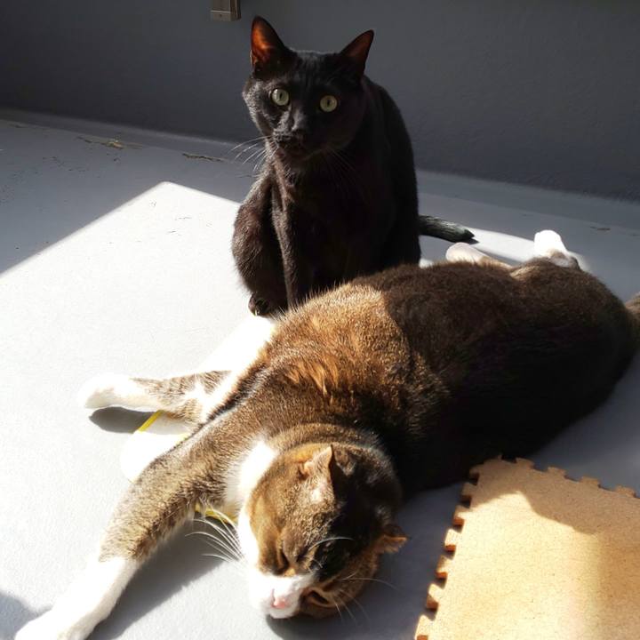 554036c3 3921 46ab adc3 bf86d5c775bb 1614831834207