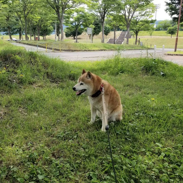 55404043 09d3 4338 8600 24d63d0c560e 1719032672173