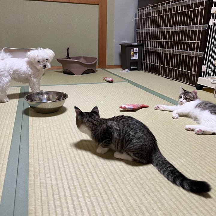 554062be 7d40 4109 ae40 d64a6f47a9f0 1690239313364