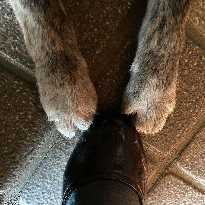 55406f60 af16 496d 9008 9dfda25a2ff5 1653386213452