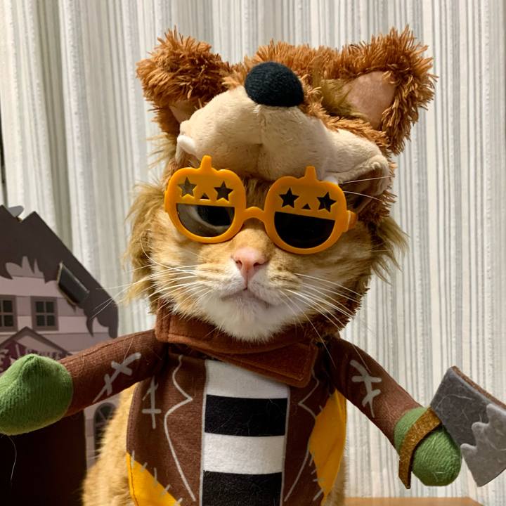 55408bea e640 4e0e b80a f0f6d2aa87d0 1634857048635