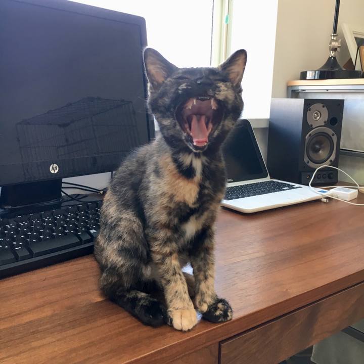 55409088 ac57 44f3 9809 dab3c4d0566d 1564786596389