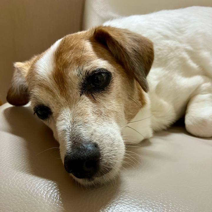 55409b10 4dea 45a2 ace7 266f6356dada 1720791696312