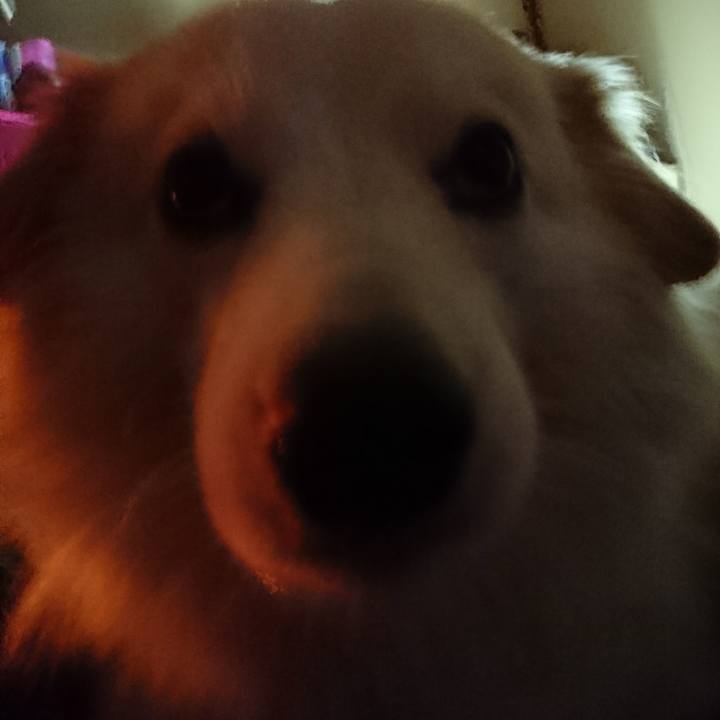 5540f2df e376 4152 9c13 5fd64c28e52d 1514495029064