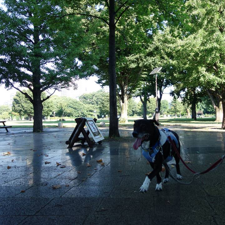 554102d0 a776 4b9a 9c90 cdf175b54bfd 1753746508064