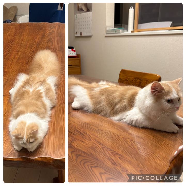 554109b6 f680 4cf2 b8c3 ae44605ba21b 1756380401651