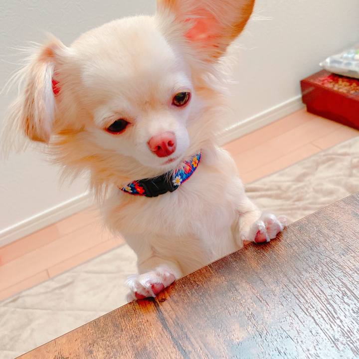 554129be cf5d 471f a1b6 fc8c167867f0 1637757833929