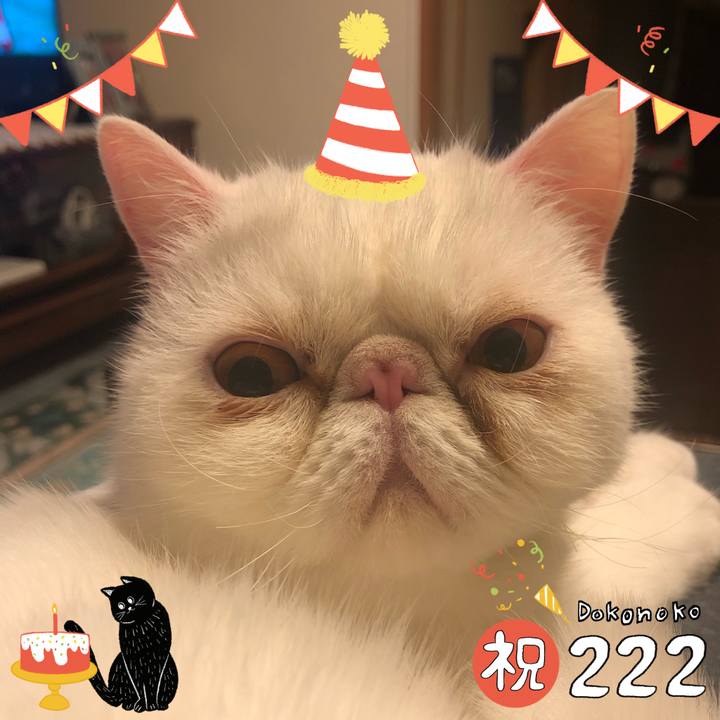 55418617 c18e 48f2 8e69 d1dabe0c3b10 1645525059224