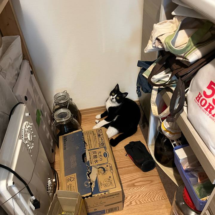 55419d04 54cb 41f7 a4b1 f809451b1fb0 1724036548515