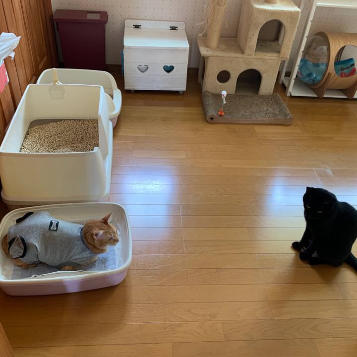 5541ba00 4ea8 48d5 b19f 75b888880893 1658372737673