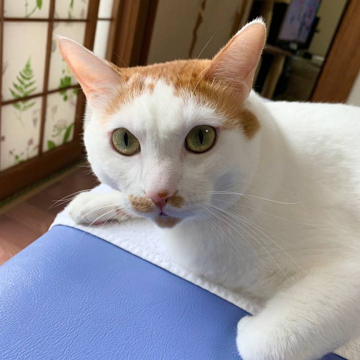 5541eaf0 95d5 4cd2 80f6 9ced49c66846 1572087472647