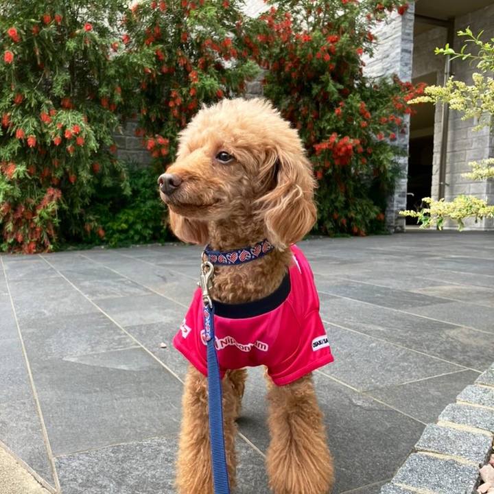 55421f18 d2db 4f17 852d 5c62700b1ff5 1683964469452