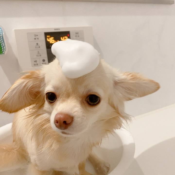 5542458b 0923 4f21 bf1a 7a6c022c8732 1616211181616