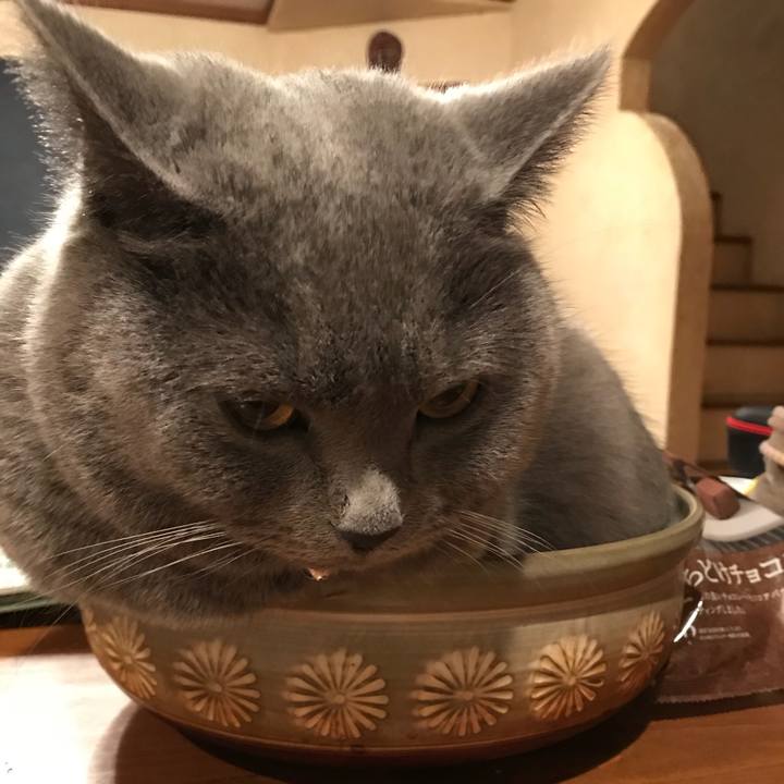 55424e75 0b67 4241 91f3 e7191b4cb6c4 1517403684872