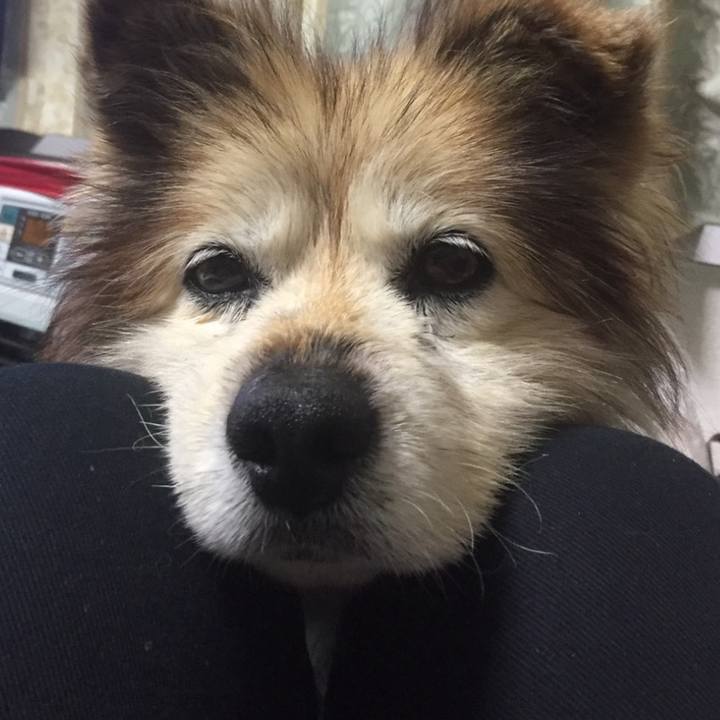 55428093 5616 4956 8942 73c63bab3287 1630461046345