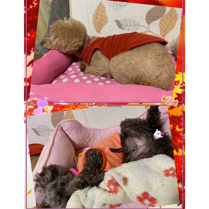 55428831 c4e5 4bb1 aef4 65aa108dfca2 1602109920672