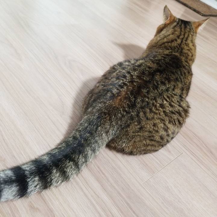 554297f1 20d8 4124 b114 2c7ecc89c4e4 1585516694332