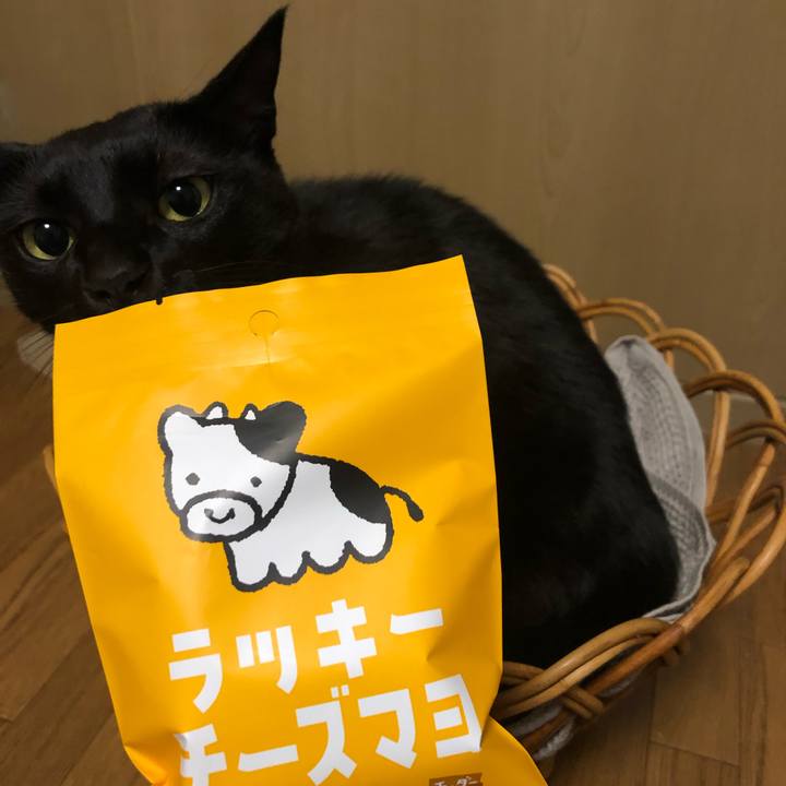 5542a652 2daf 4166 8187 735790574e63 1641423912557