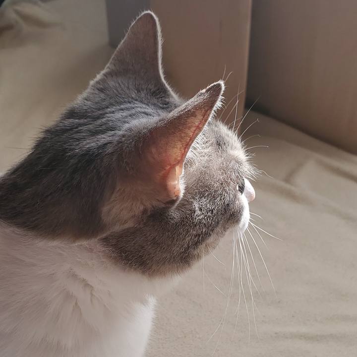 5542f54a 6bc9 4b90 8dd0 8499eef4488f 1706796028882