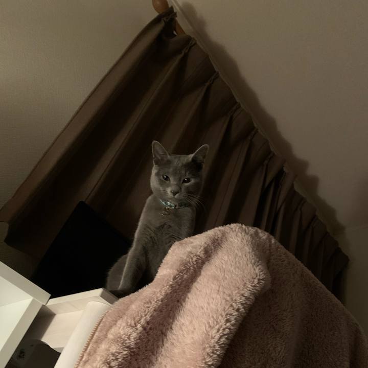 55430f00 8678 41ef a5bd 11fe416cca9e 1577234011093