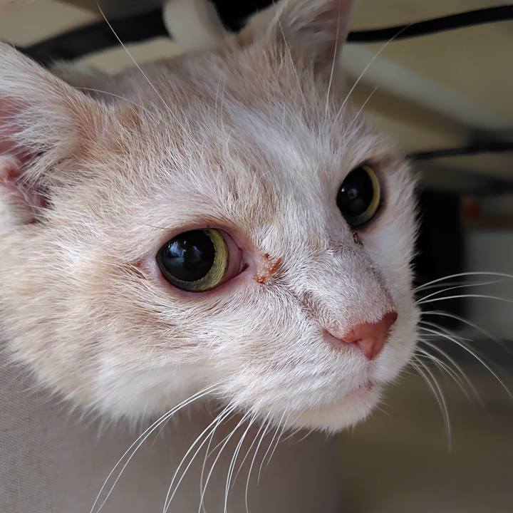 55431c79 9f5b 4c9d 8f8f 3d29e382cf95 1758935914048