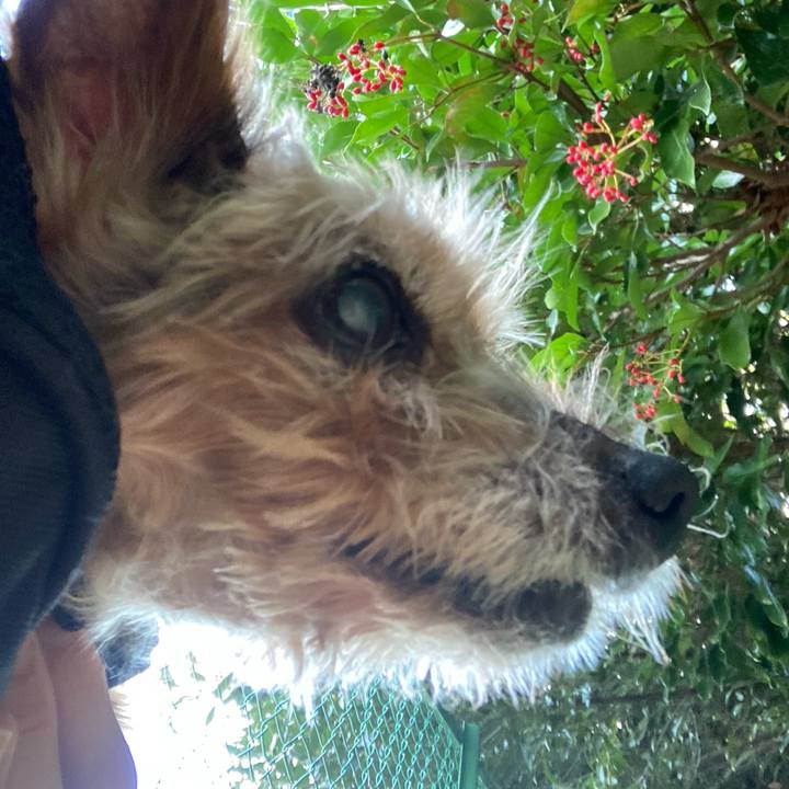 5543223d 5d73 486f 91a0 66f1eb29c228 1696207145735