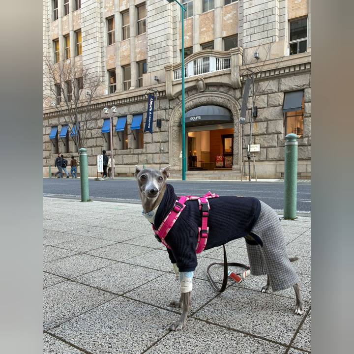 55432d7e c342 4275 b82e d49be24d0e3a 1775212907431