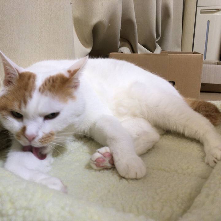 55435891 691f 4709 82b9 3c11f9ac3c4a 1508240793111