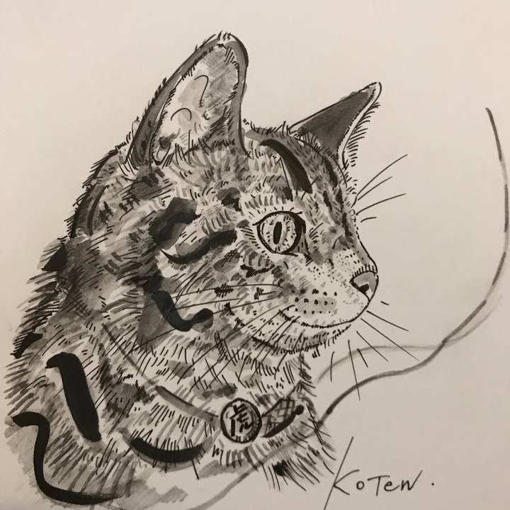 5543646d 0c7c 4b62 8485 8a6a16e5c0f6 1541854229345