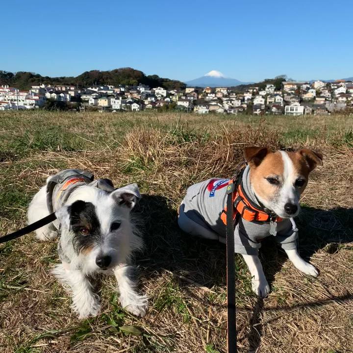 55439da4 2995 499d 9c08 0014419f2b16 1638407929941