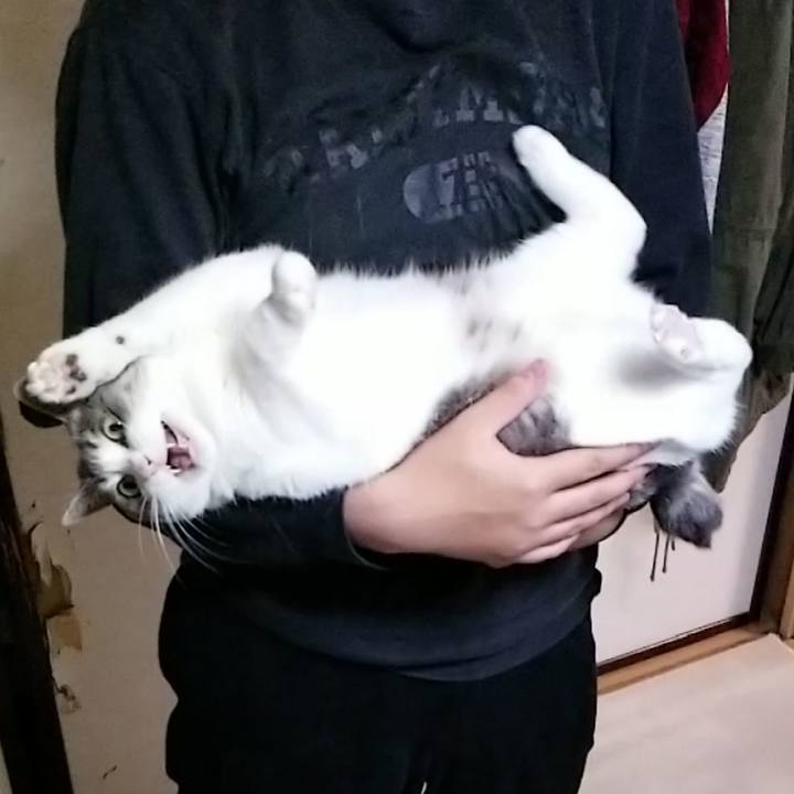 5543afce 5c44 4ae5 a0ca 8b43335f054f 1654786872909