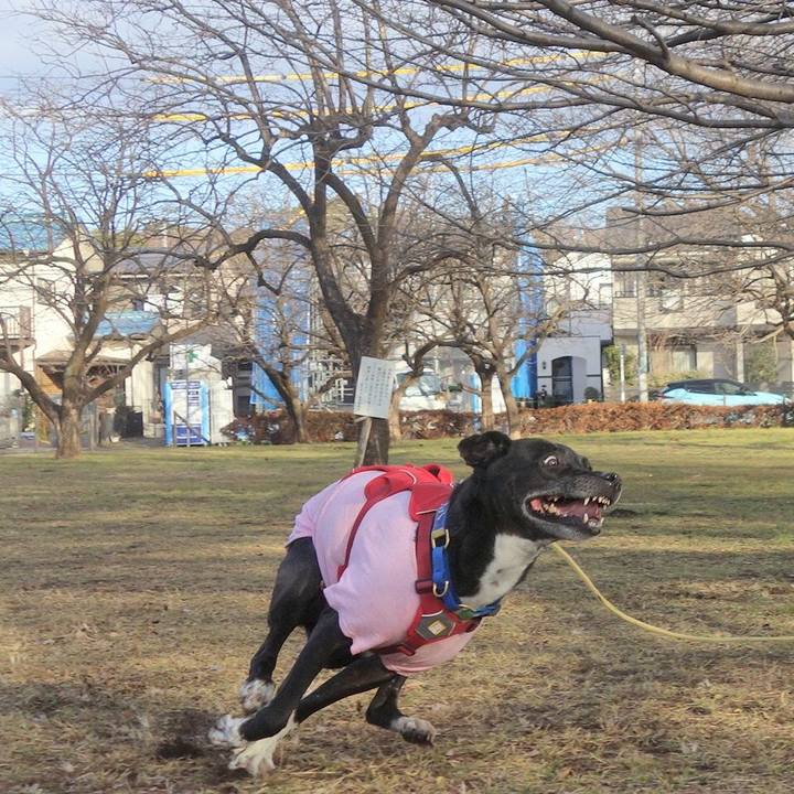 5543ca03 a19b 4a98 b123 18ba3946da8c 1674090057250