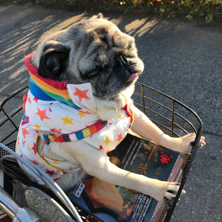 5543cd55 3c1f 4496 be43 c7c9e04ce561 1514443344712