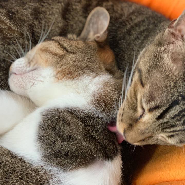 55440dec 11d2 42ec b8c8 b0702e3e9d03 1562720109526