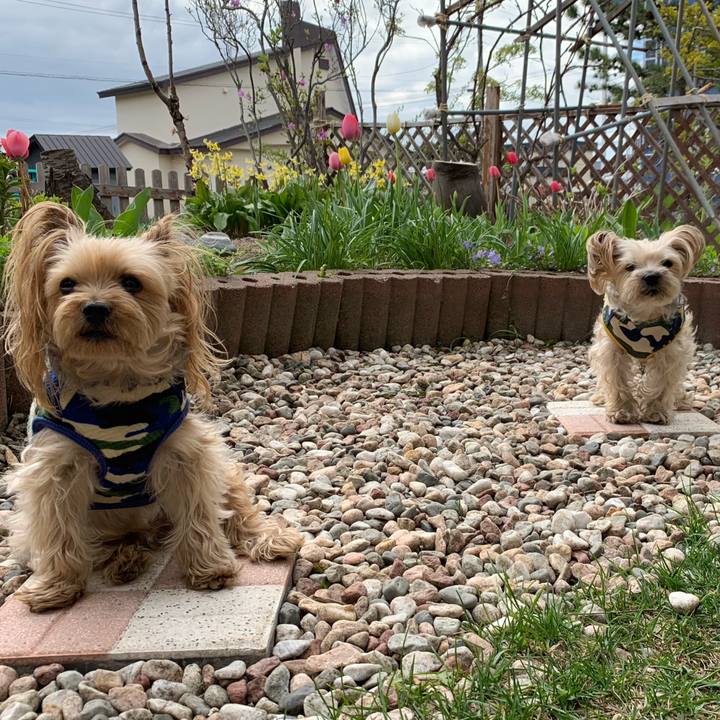 55443200 a459 443c a5d7 ede5e3a4712a 1557565360228