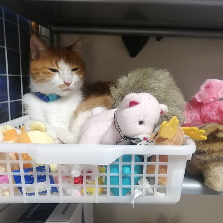 55443e5a cb8f 4f11 8ad2 c3ba827f154c 1656249095420