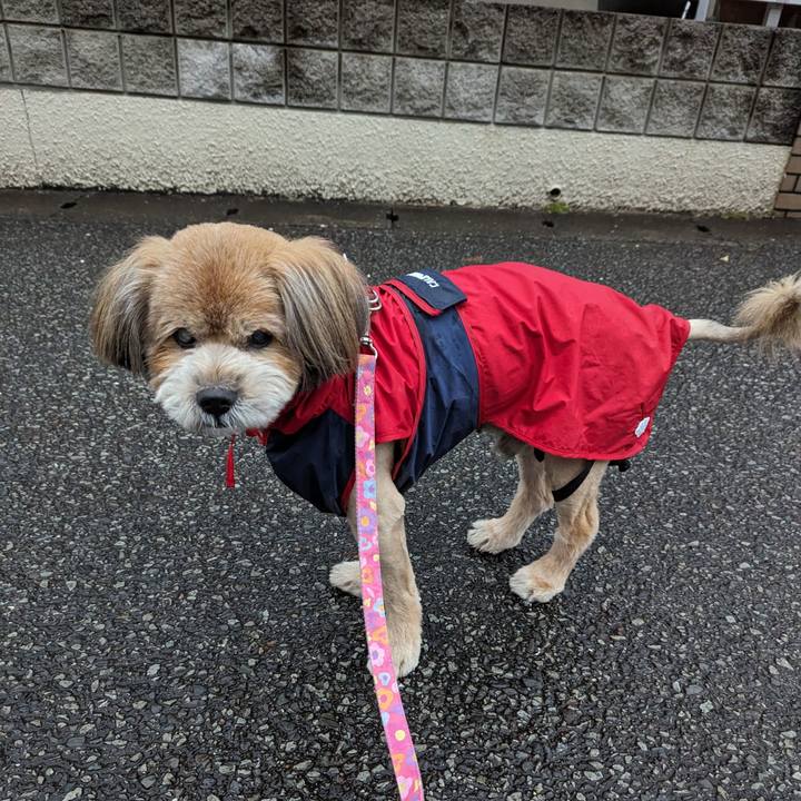 554443d6 66be 46fc 89a3 2ee6c6710303 1707260031786