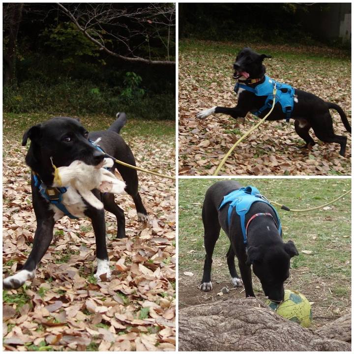 55444e78 031f 4626 b3d9 c3caf55d3b1a 1606177926479