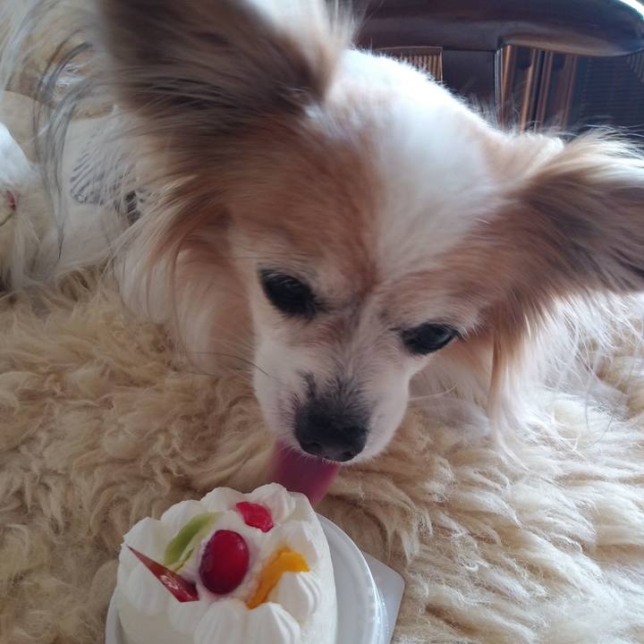 554465d2 b5f0 49b4 a65d e9a215ce17bd 1545890171305