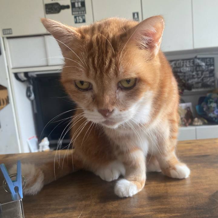 55448ab8 b5d8 436a a022 637485882ee1 1762045940242